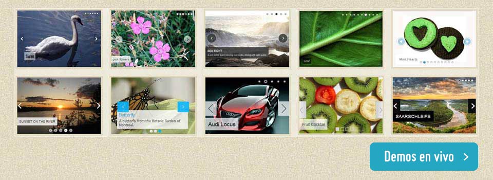 Slider de Imagenes en jQuery