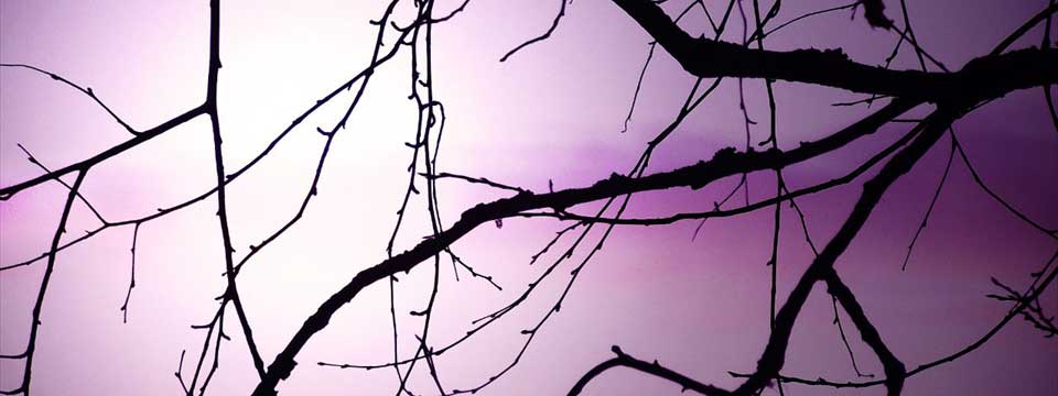 Sky : html image gallery