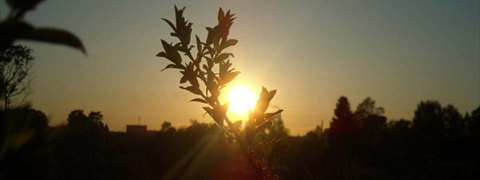 Sun : html gallery javascript