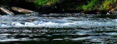 Water stream