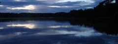 Twilight