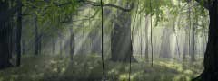 Swamp in the woods : jQuery Div Content Slider