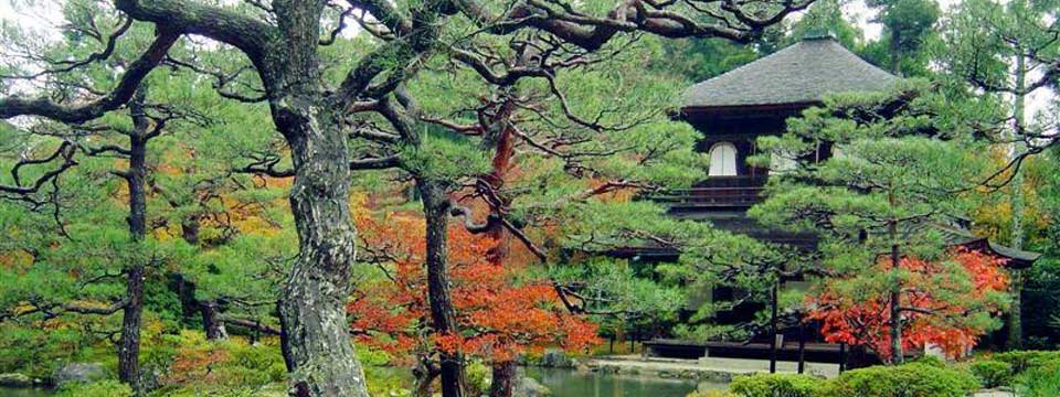 Japanese garden: banner generator