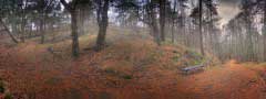 park : jQuery Simple Slider