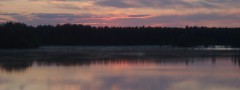 amazing sunset