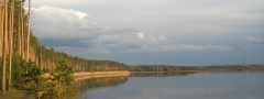 beautiful landscape