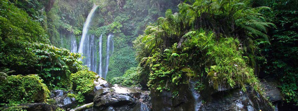 Waterfall in the jungle: css html image slideshow