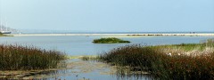 Malibu lagoon