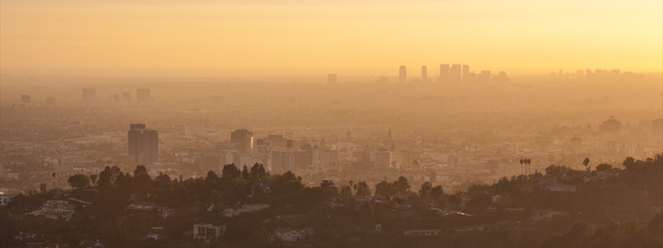  Los Angeles: slideshow html editor