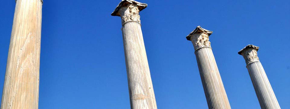 Columns: image gallery code