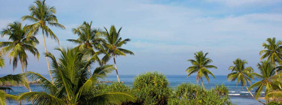 Palms and ocean: css gallery slideshow