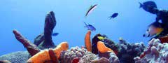 Underwater