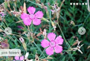 jQuery Slider CSS Elemental Slices Demo