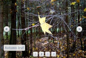 jQuery Picture Slider Catalyst Digital Stack Demo