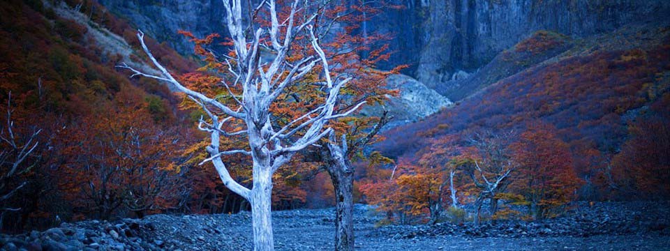 Autumn trees: Slideshow CSS3