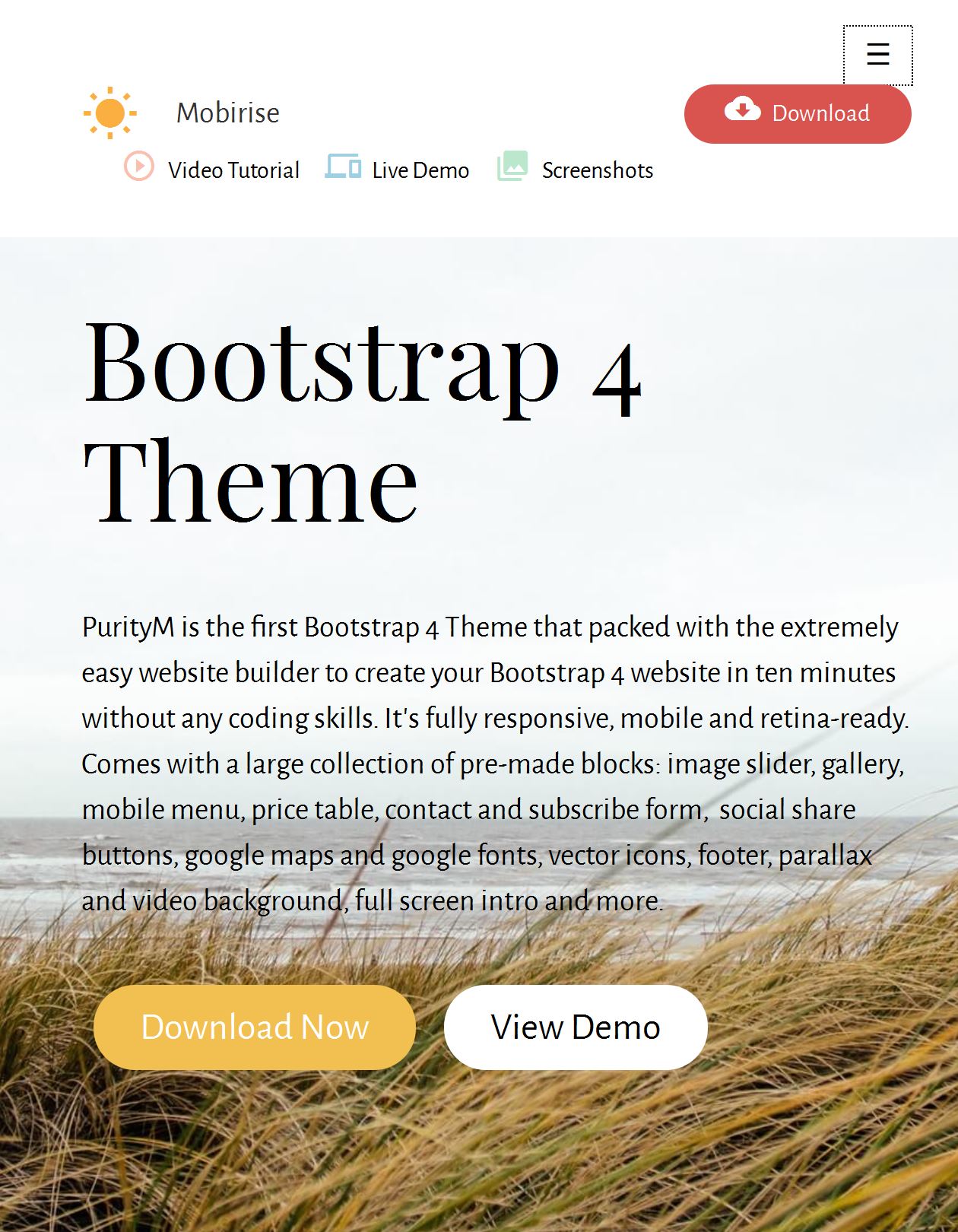 Bootstrap Store Template